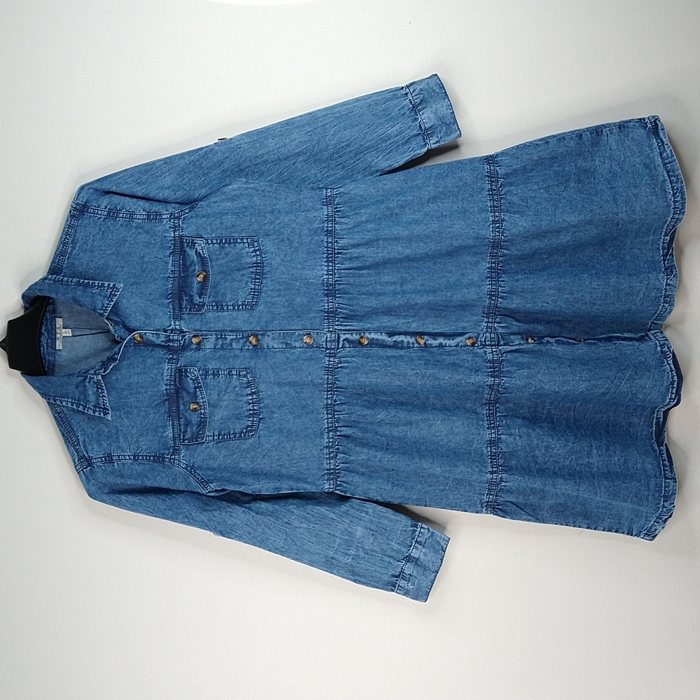 Women Blue Denim Dress Size: L